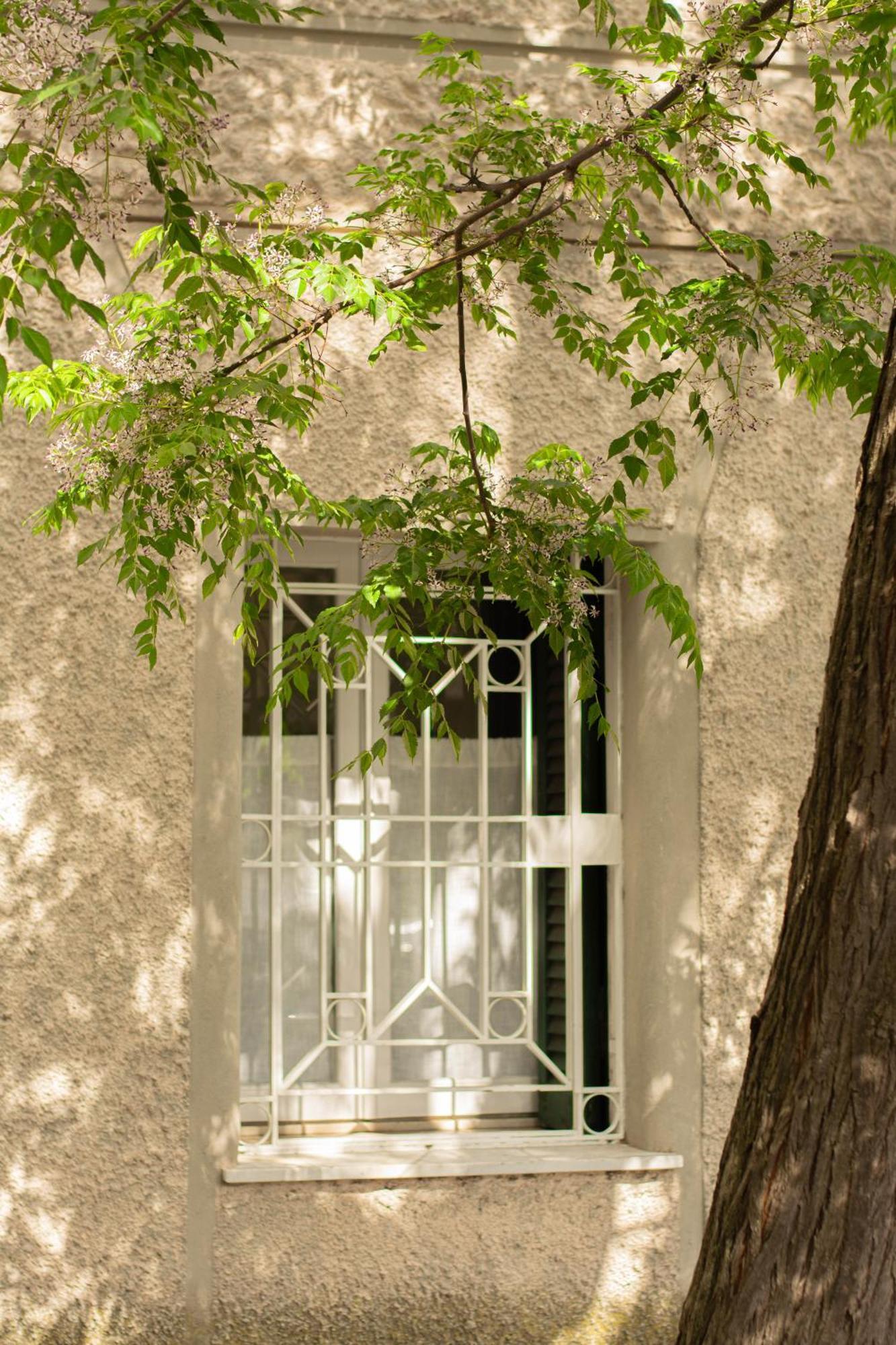 Domus Gianicolo 2B Daire Roma Dış mekan fotoğraf